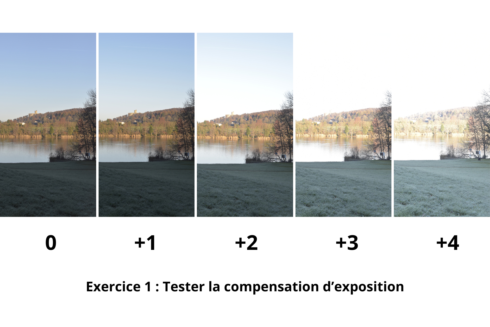 Compensation exposition